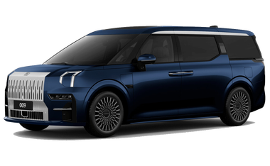 009