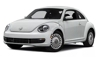 Beetle