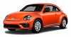 Beetle