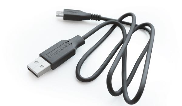 usb-1-pandora